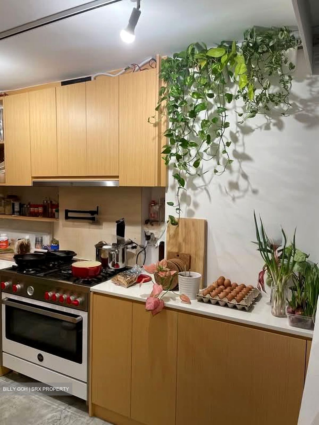 Blk 11 Holland Vista (Queenstown), HDB 3 Rooms #572936331